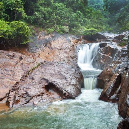 Апартаменти Jeroen'S Jungle View Ко-Чанг Екстер'єр фото