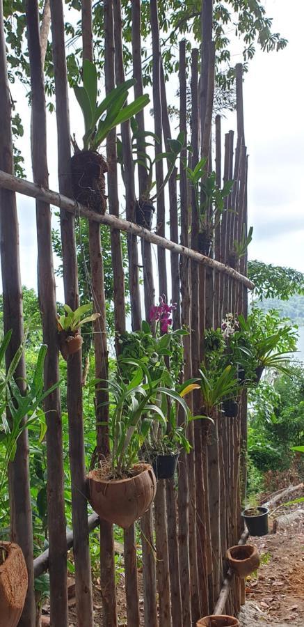 Апартаменти Jeroen'S Jungle View Ко-Чанг Екстер'єр фото